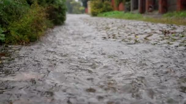 Water Flows Splashes Heavy Heavy Rain Overabundance Water Slow Motion — Stock Video
