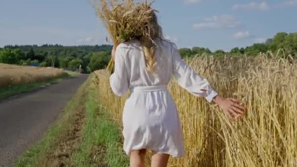 Uma Mulher Ucraniana Bonita Vestido Branco Caminha Através Campo Trigo — Vídeo de Stock