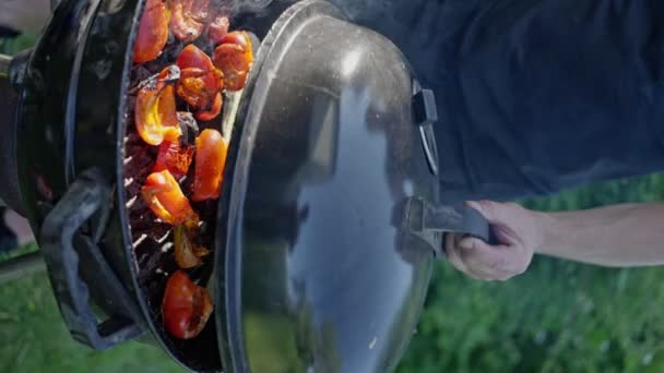 Grillowana Papryka Grillu Warzywa Bbq Okrągłym Grillu Łące Letni Piknik — Wideo stockowe