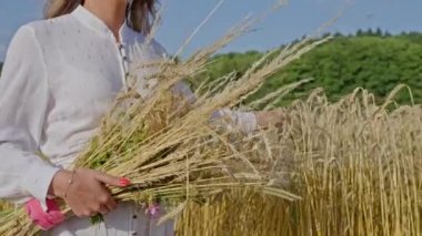  Beyaz elbiseli bir kız buğday tarlasında yürür ve kulaklara dokunur. Arkadan bak. Ön Manzara. Yavaş çekim