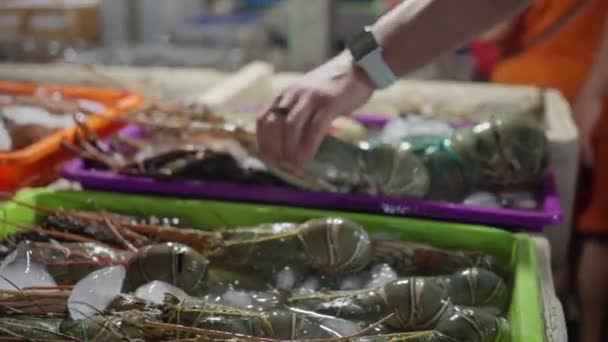 Świeżo Złowione Homary Krewetki Inne Owoce Morza Pokryte Lodem Plastikowych — Wideo stockowe