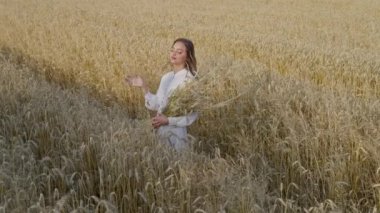 Yukarıdan bakıldığında, beyaz elbiseli güzel bir kız sabah buğday tarlasında. Ellerinde buğday kulakları, ağır çekim. Yüksek kalite 4k görüntü