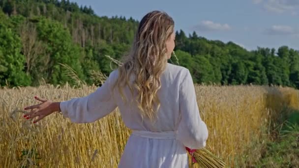 Uma Bela Mulher Ucraniana Vestido Branco Caminha Através Campo Trigo — Vídeo de Stock