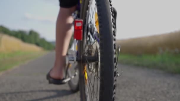 Close Joven Monta Bicicleta Largo Sendero Polvoriento Bosque Atardecer Hombre — Vídeo de stock