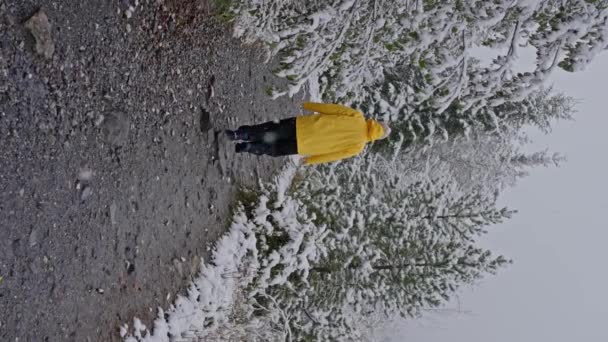黄色いジャケットの大人はスイスの山で冬の森を歩いています 4Kについて 高品質の4K映像 — ストック動画