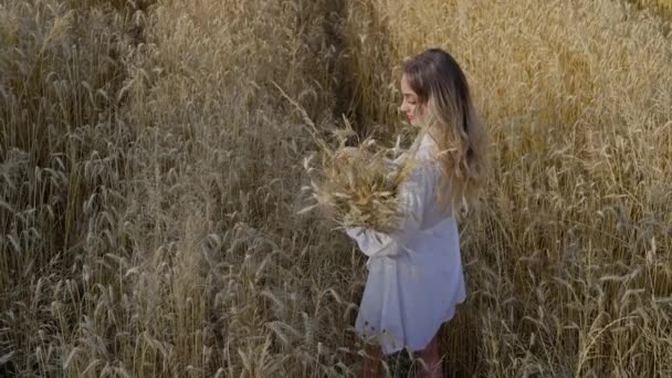 View Beautiful Girl White Dress Wheat Field Morning Ears Wheat — Stock Video