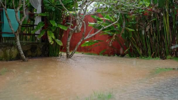 Natural Landscape Water Flooding Yard Surrounded Trees Red Building Background — Stock Video