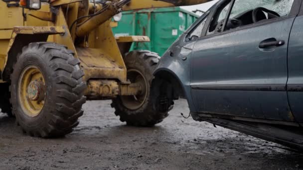 Forklift Stacks Cars Pile Junk Yard Moves Broken Car Rainy — Stock Video