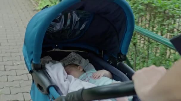 Spädbarn Barnvagn Med Mor Driver När Går Parken Högkvalitativ Film — Stockvideo