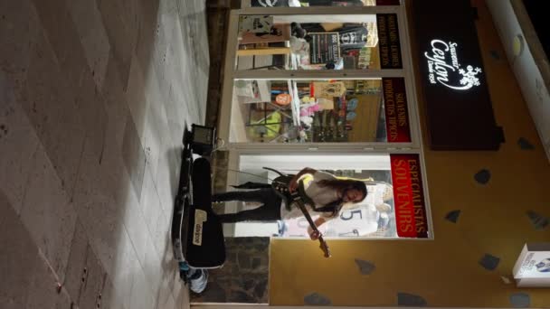 Adam Gece Vakti Kaldırımda Bir Mağazanın Önünde Gitar Tıngırdatıyor Dikey — Stok video