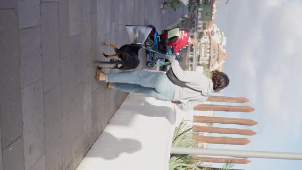 Veterinerlik Plastik Konisinde Bir Köpek Yanında Tüylü Bir Arkadaş Patika — Stok video