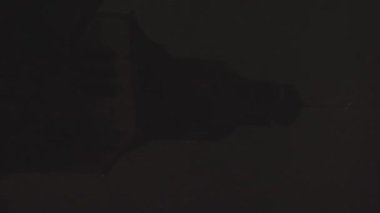Gece gökyüzüne karşı tarihi kule silueti görkemli ve gölgeli figürlü gizemli bir atmosfer yaratır. Dikey görünüm
