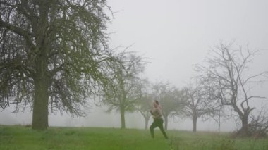 Zarif bir kickboksör, sakin, sisli bir ortamda zarif bir performans sergiliyor. Güzelce somutlaştırılmış özgürlük ve yaratıcılık. Kickboks antrenmanı yapan bir adam sabah sisli tarlasında, sonbaharın sonlarında ağır çekim