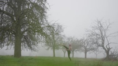 Sonbaharın sonlarında sabah sisli bir alanda dövüş sanatları eğitimi aldım. Ağır çekim. Doğada Gizemli Sisli Bir Anlık Sanatsal İfade Açılıyor. Yüksek kalite 4k görüntü