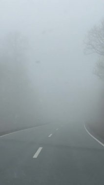 Sis dolu bir yol huzur dolu sakin ve huzurlu bir kış ormanı arazisinde usulca dolanıyor. 4k görüntü