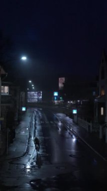Yağmurlu, sessiz bir sokak, yumuşak sokak lambaları ve reklam panoları ile aydınlatılmış, gizemli bir atmosferi çağrıştırıyor.