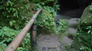 Canlı yeşil bir ormana inen sakin bir yol keşfet. Macera ve doğa aşıkları için ideal..