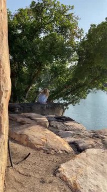 Nong Nooch Tropikal Bahçe Parkı 'nda yeşil ağaçlar ve göl. Öğlen vakti Pattaya, Tayland 'da yeşil çevre bölgesi. Çevre doğa manzarası arka planı. Yüksek kalite 4k görüntü
