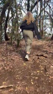 Yalnız bir birey manzaralı bir orman yolunda yürüyor, güzelliğin ve huzurun tadını çıkarıyor.