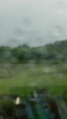 Berrak, canlı yeşilliklerle çevrili bir pencereden zarif bir şekilde düşen yağmur damlalarının huzurlu ve huzurlu görüntüsü. Ağır çekim. Yüksek kalite 4k görüntü