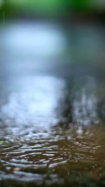  Ağır çekim. Yağmur damlaları, sakin bir su yüzeyinde hafif dalgalanmalar yaratır. Huzurlu bir sahnede sakinlik ve rahatlama uyandırır. Yüksek kalite 4k görüntü