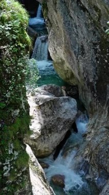 Bereketli, dingin bir akıntının nefes kesen manzarası doğadaki Mosscovered kayaları nazikçe aşındırıyor. Ağır çekim. Yüksek kalite 4k görüntü