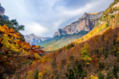 Sonbahar renkleriyle Ordesa Vadisi 'nin muhteşem manzarası. Ordesa ve Monte Perdido Ulusal Parkı Huesca, Aragon, İspanya