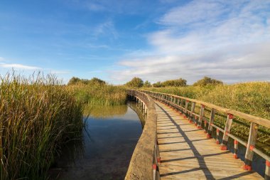 İspanya 'nın Ciudad Real kentindeki Tablas de Daimiel Ulusal Parkı' nın mevsimlik gölünün üzerinde tahta köprü.