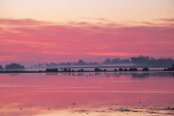 Spectacular pink landscape at dawn in a pond in the Doana National Park, next to El Roco, Huelva, Spain