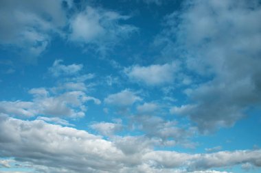 Detail of intense blue sky in broad daylight with fluffy white cumulus
