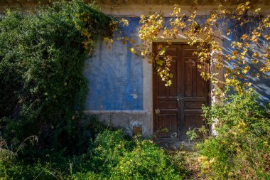 Facade aged by time of an old and traditional house in the orchard of Murcia, with weeds at the entrance, a blue facade and a wooden door with a padlock