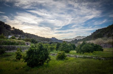 Güzel Guadalest Vadisi 'nin panoramik manzarası, Alicante, gün batımında gökyüzü güzel bulutlar ve dağlarla çevrili limon bahçeleriyle