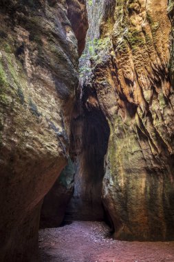 Aledo, Murcia, İspanya 'da Arboleja Boğazı. Kayadan oyulmuş kanyon erozyonun etkisiyle eşsiz ve gizemli bir manzara yaratmış.
