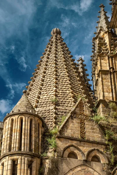 Detail Einer Kuppel Der Kathedrale Von Plasencia Cceres Spanien Mit — Stockfoto