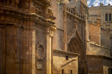 İspanya 'nın Murcia kentindeki Santa Maria katedralinin güney cephesinin tanınmış Rönesans ve Gotik tarzıyla görüntüsü