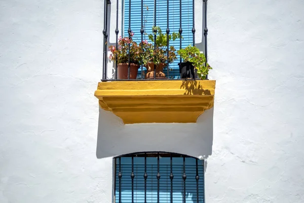 Typical Facade White Villages Andalusia Spain Balcony Intense Blue Shutter — Stock Photo, Image