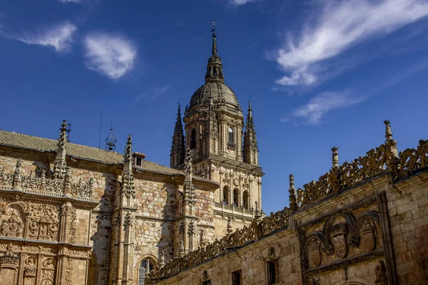 Salamanca, İspanya 'nın anıtsal kompleksi. Üniversite ve katedralin kulesi arka planda.