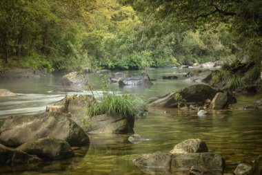 A Corua, Galiçya 'daki Eume nehrinin Idyllic manzarası, yazın yeşil ve tazelik dolu.