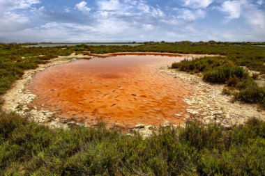 Salinas de San Pedro del Pinatar doğal parkındaki turuncu gölet, Murcia Bölgesi, İspanya