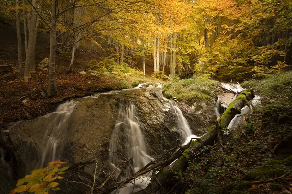 Waterfall over rock in spectacular autumn beech forest on the Gartxot mountain route in Navarra, Spain in autumn