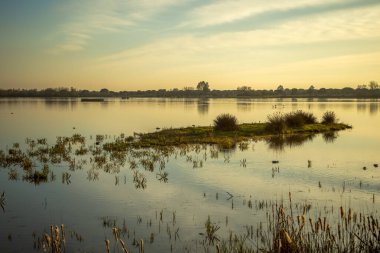 Gün batımında Doana Ulusal Parkı, Huelva, Anadalucia, İspanya 'da kuşlarla dolu güzel bir göl manzarası.