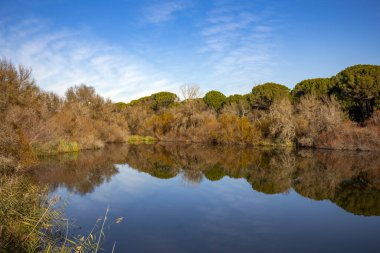 Doana Doğal Parkı, Huelva, Endülüs, İspanya 'da Charco del Acebron' un sabah ışıklarıyla
