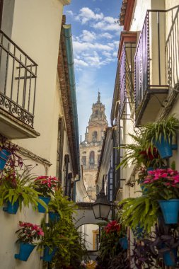 Calleja de las Flores 'ten İspanya, Endülüs, Crdoba' daki caminin çan kulesinin manzarası.