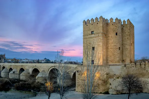 Sunset view of the Torre de Calahorra and the Roman bridge in Crdoba, Andalusia, Spain World Heritage Site