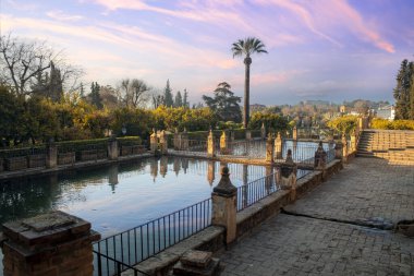 Endülüs 'ün Crdoba kentindeki Alczar de los Reyes Cristianos bahçesinin ılık sabah ışıklarıyla güzel bir manzarası var.