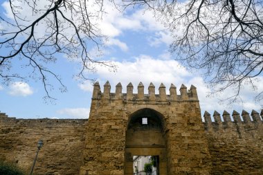 Crdoba, Endülüs, İspanya 'nın çevresindeki dekoratif ağaçlarla çevrili Almodvar Kapısı