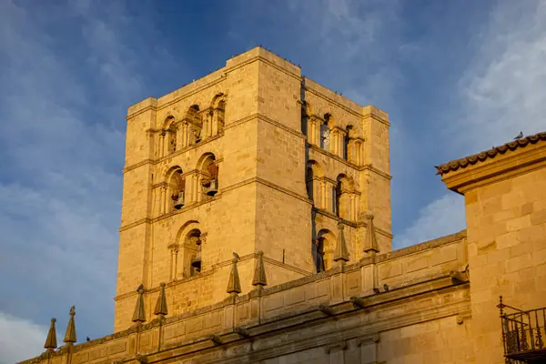 Santa Iglesia Katedrali del Salvador 'un Roma kulesinin ayrıntıları. Şafakta, Castilla y Len, İspanya' da.