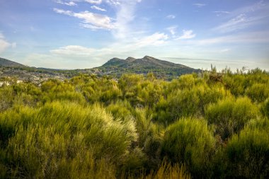 Murcia, İspanya 'nın Murcia bölgesindeki El Valle y Carrascoy Doğal Parkı' nın yamaçlarında yarı çöl manzarası