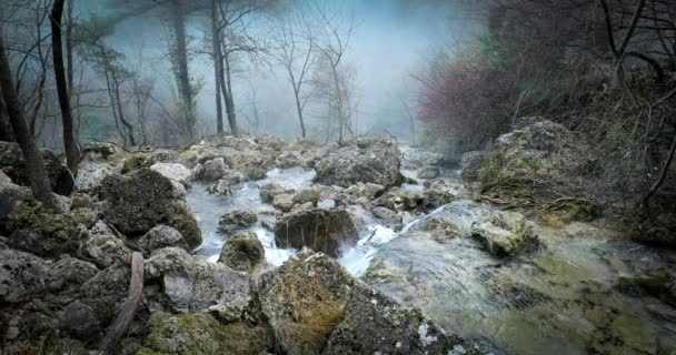 Idyllic Winter Scene Fog Mundo River Its Source Riopar Albacete — Stock Video