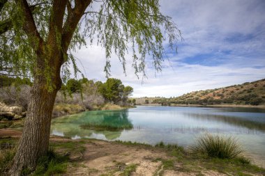 Ruidera lagünlerindeki Laguna Salvadora bakış açısından renkli bir manzara, Ciudad Real ve Albacete, İspanya arasında, ön planda bir ağaç ile